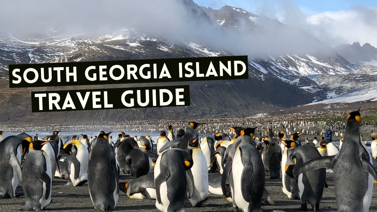 SOUTH GEORGIA ISLAND Travel Guide | Cruises and Everything you need to know