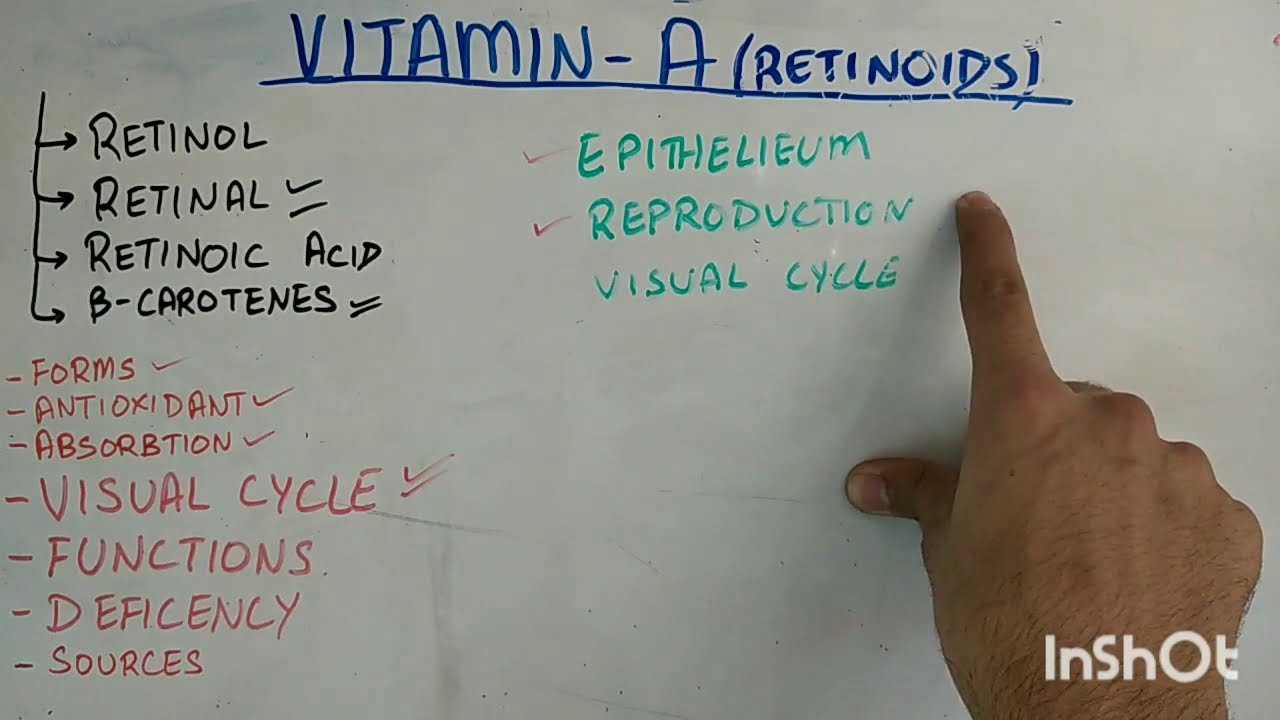 Biochem of vitamin A part 2