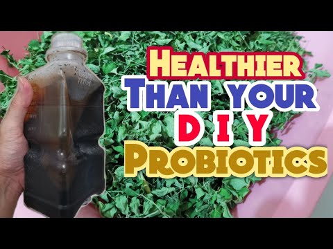 DIY Probiotics. Enriched with Natural Vitamins and Minerals (English Sub)