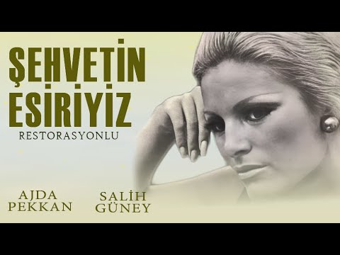 Şehvetin Esiriyiz Türk Filmi | FULL | AJDA PEKKAN | KUZEY VARGIN