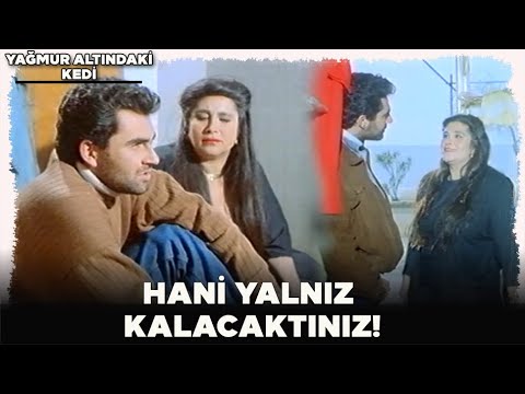 Yağmur Altındaki Kedi   Hani Yalnız Kalacaktınız