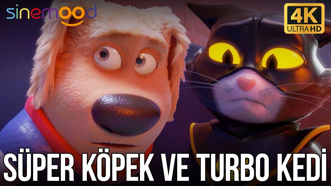 Süper Köpek ve Turbo Kedi | Türkçe Dublaj Animasyon 4K - Sinemood