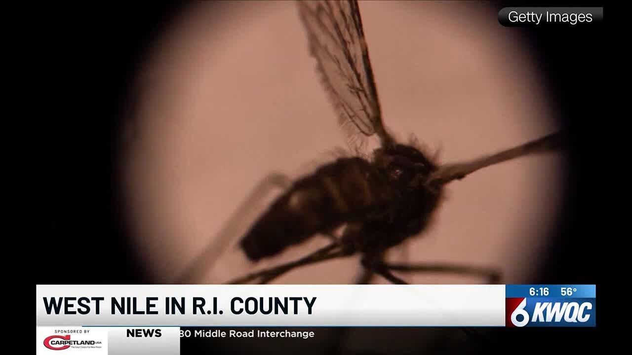 West Nile Virus detected in Rock Island County mosquitoes