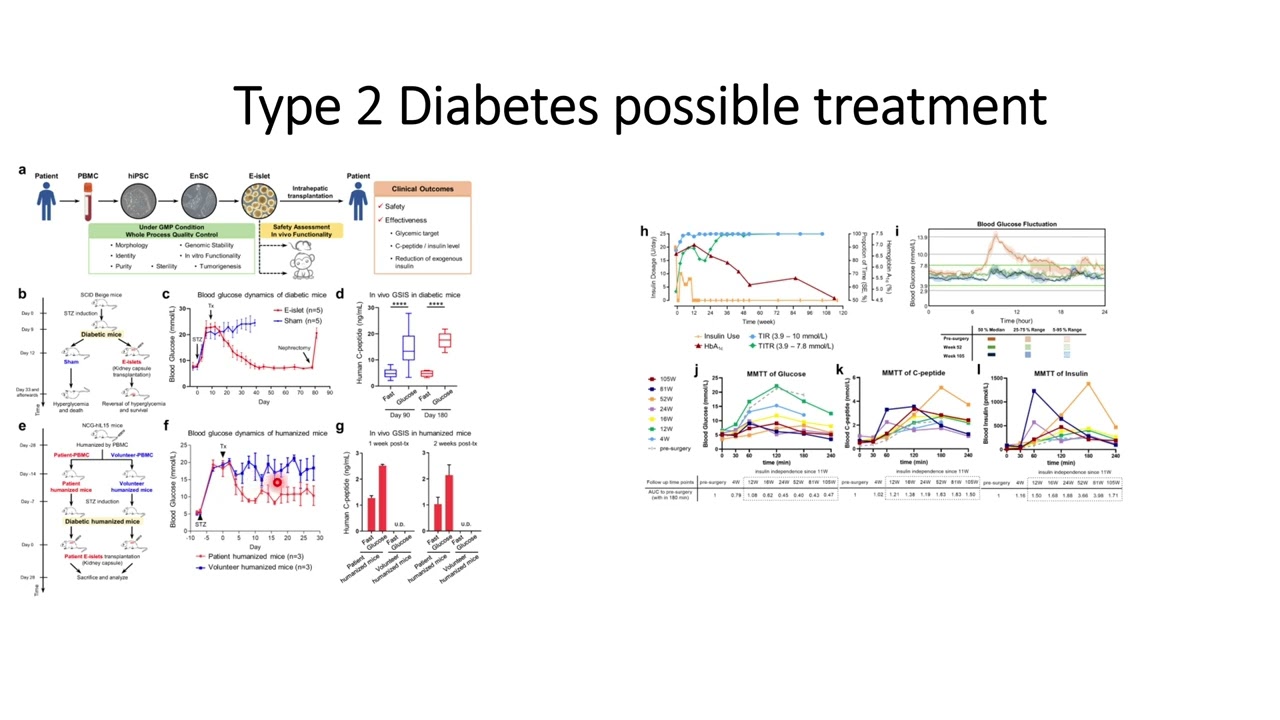 Type 2 Diabetes Possible Treatment #Code: 566