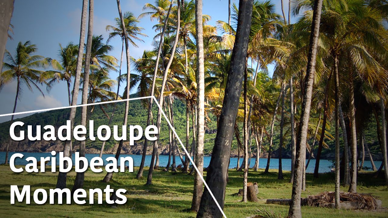 GUADELOUPE - CARİBBEAN MOMENTS - THE SECRETS OF NATURE
