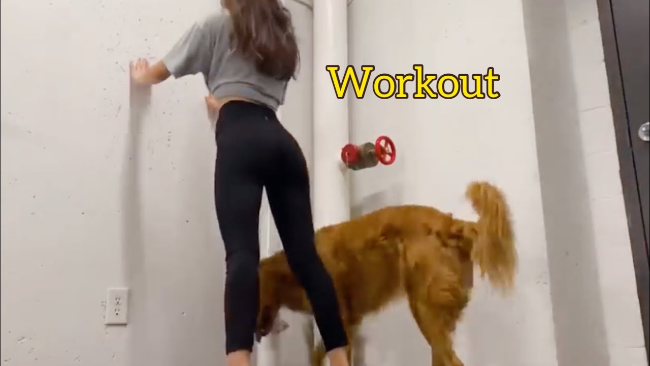 Eng [운동브이로그] #운동하는여자 / 홈트레이닝 밴드운동, 계단운동, 헬스, 몸관리  | Home workout training, resistance band, vlog