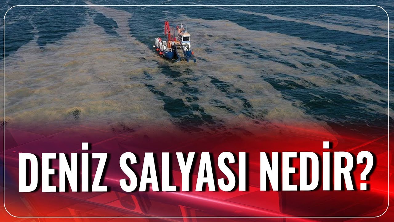 Deniz Salyası Nedir? | Prof. Dr. Yelda Aktan Turan | Akşam Haberleri