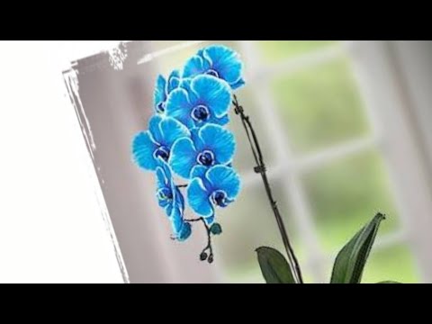 Mavi orkide yapımının püf noktaları