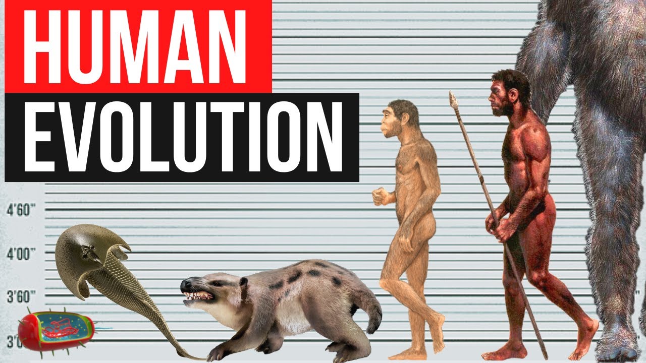 human-evolution-by-years