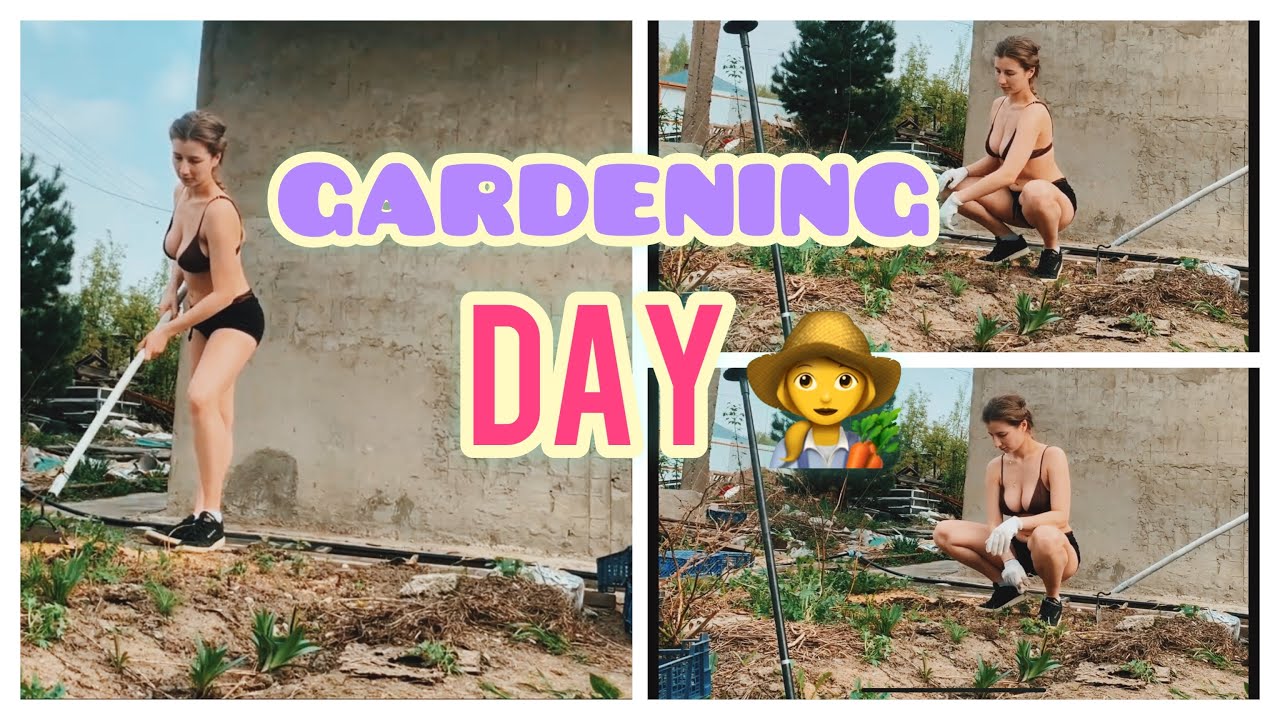 Gardening day! | tidying up my garden