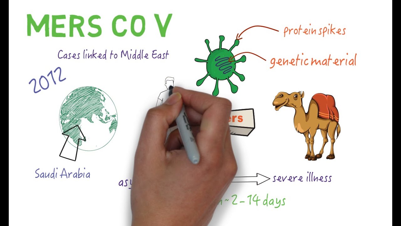 MERS COV - AN OVERVİEW