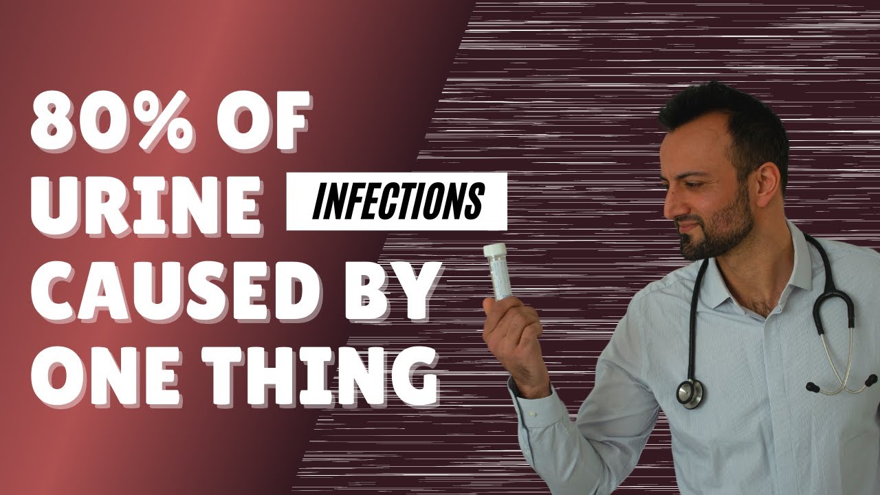 % of urine infections are caused by one thing