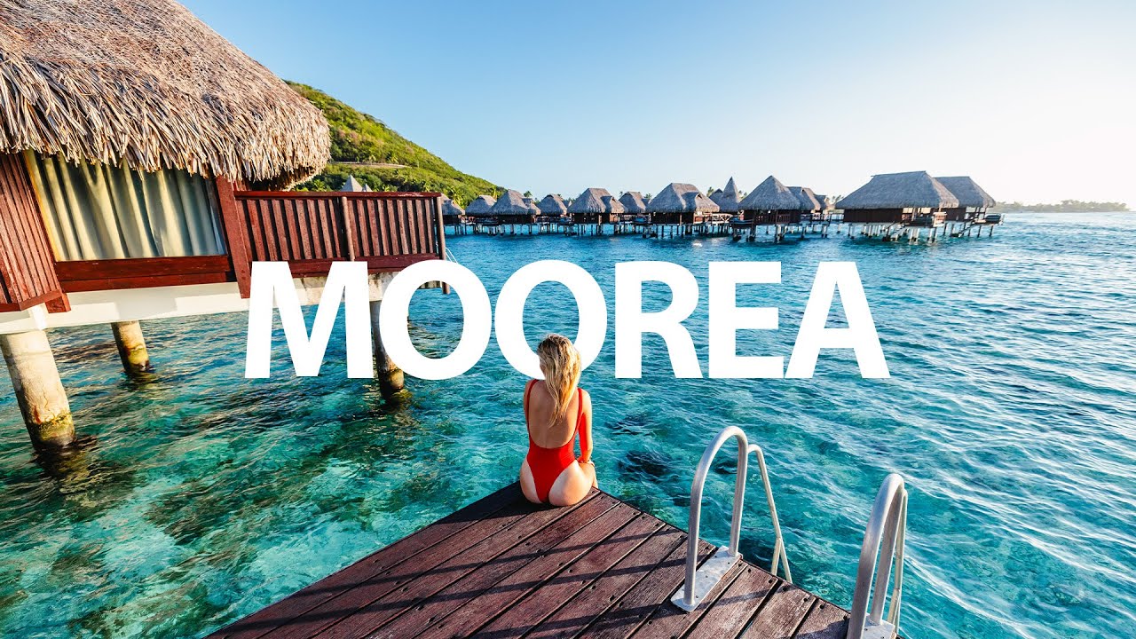ULTIMATE MOOREA FRENCH POLYNESIA TRAVEL GUIDE (WHALES, OVERWATER BUNGALOWS  TOP THINGS TO DO)