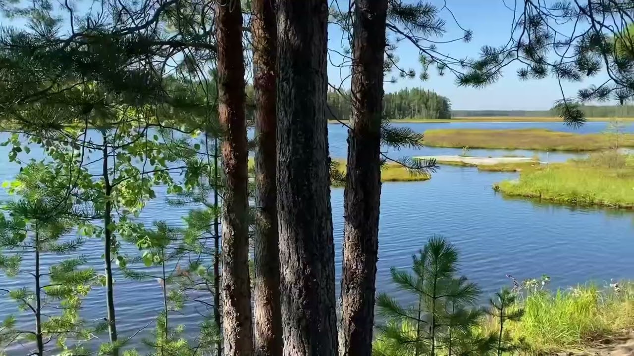 Wilderness and soothing nature in Komi Republic, Russia