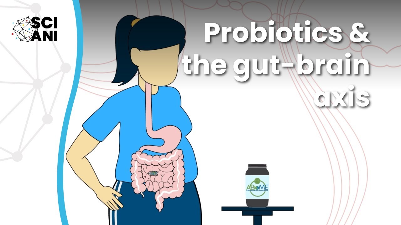 HOW CAN WE USE PROBİOTİCS TO TREAT VARİOUS CONDİTİONS VİA THE BRAİN-GUT SYSTEM?