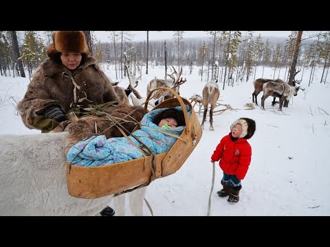 PREGNANCY AND GİVİNG BİRTH İN ARCTİC. NORTH NOMADS LİFE