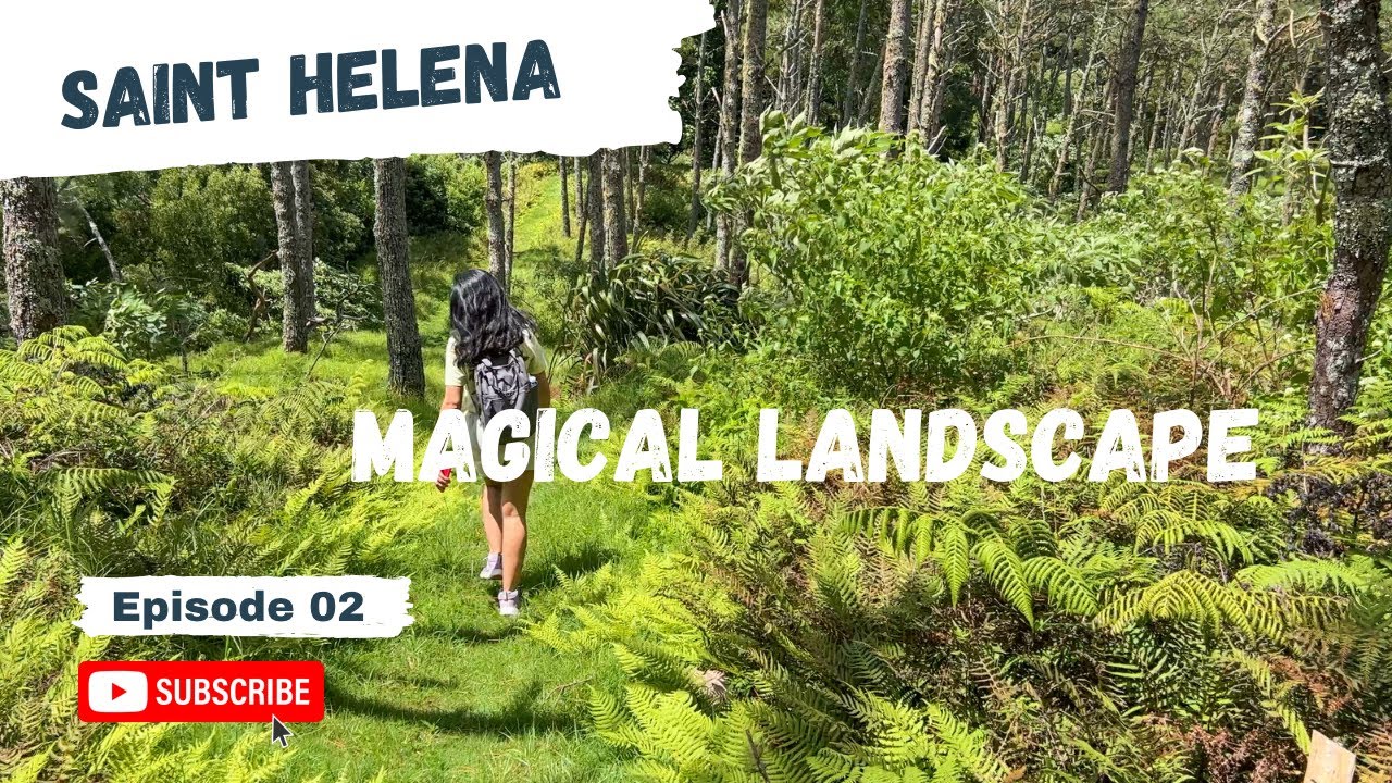 ????????St Helena Island - Tour around Jamestown, Clifford Arboretum and High Peak