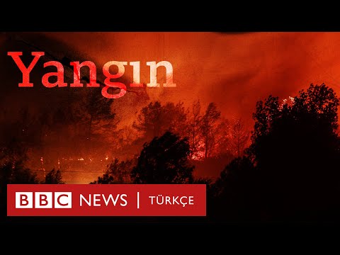Yangın: Türkiye'nin alevlerle mücadelesi