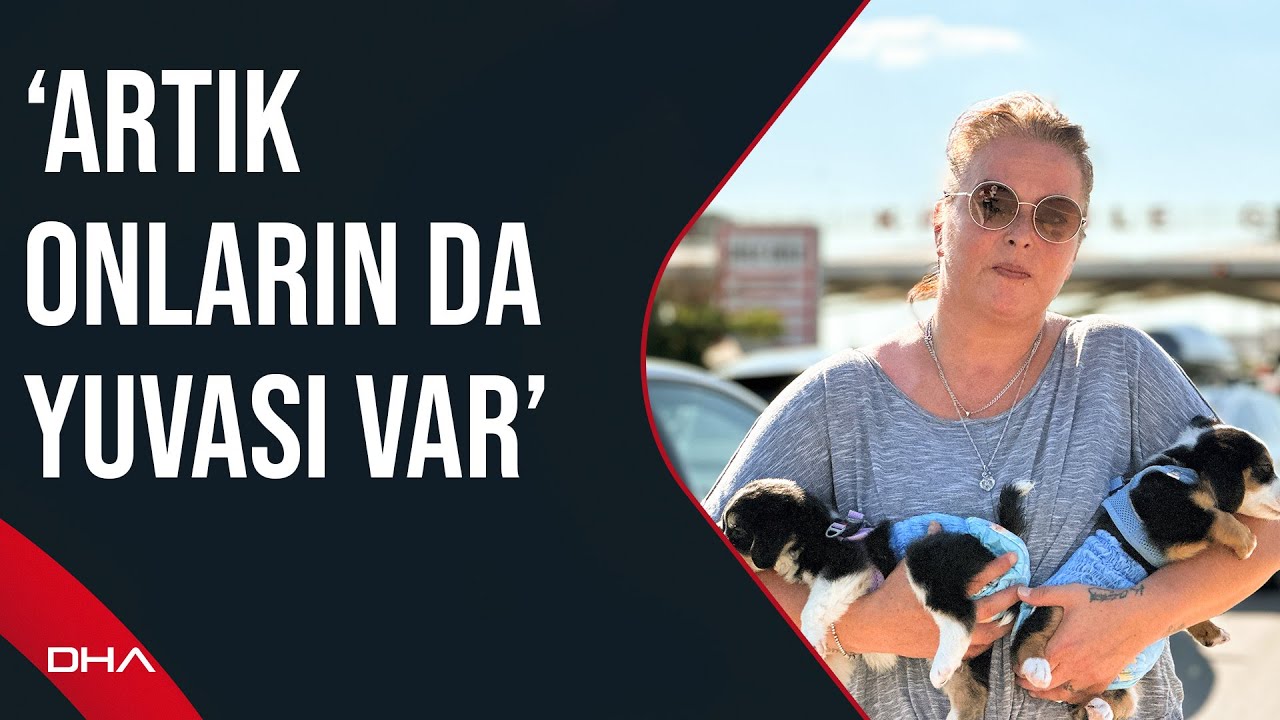 yavru köpek