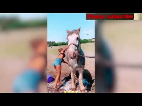 Summer Monteys-Fullam dances while washing her horse