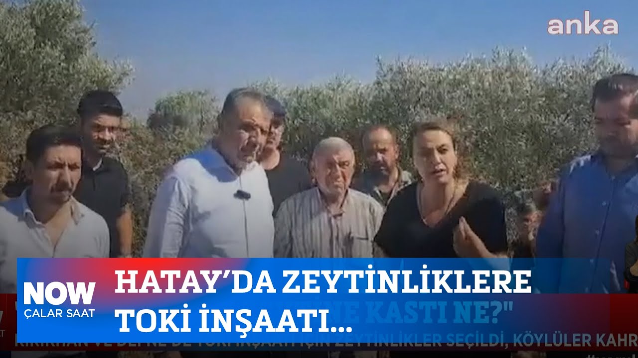 hatayda-zeytinliklere-toki-insaati