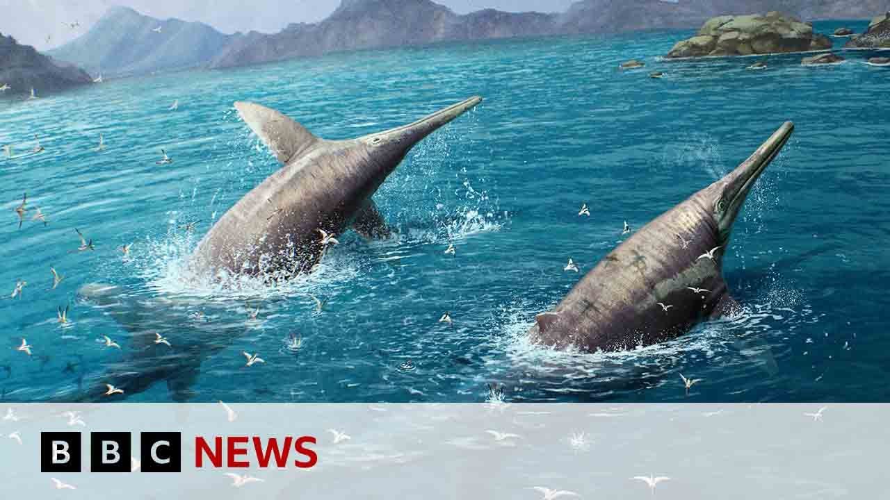 LARGEST EVER SEA CREATURE DİSCOVERED BY SCİENTİSTS 