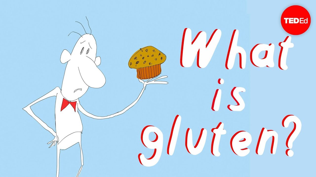 WHAT’S THE BİG DEAL WİTH GLUTEN? - WİLLİAM D. CHEY