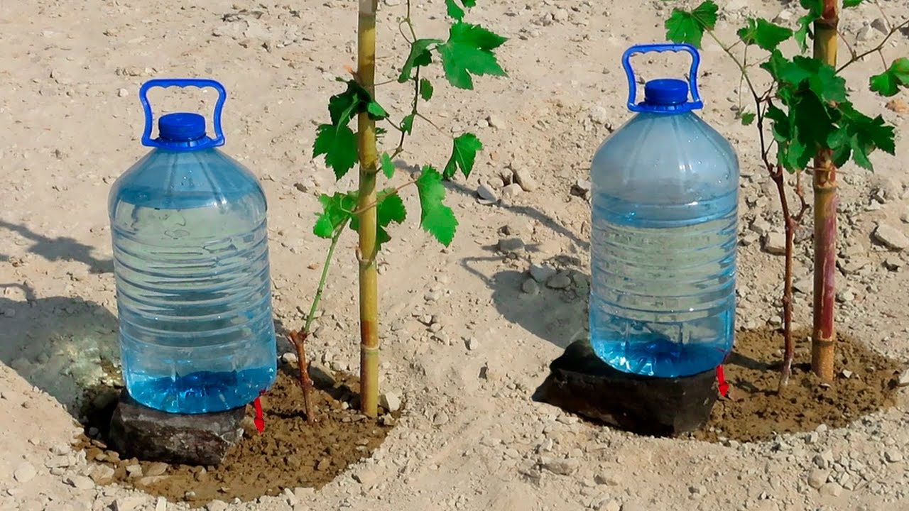 Sistema de riego por goteo simple barato fácil de hacer y rápido de botellas de plástico