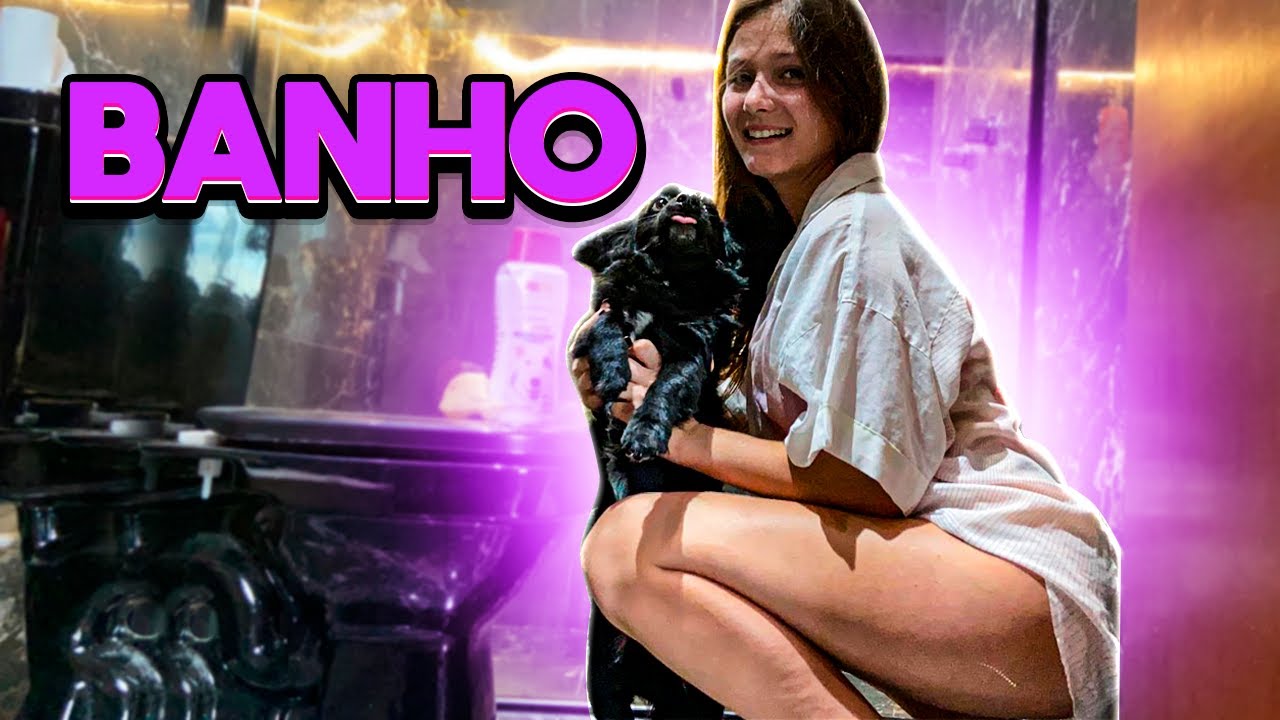 BANHO NO DOG