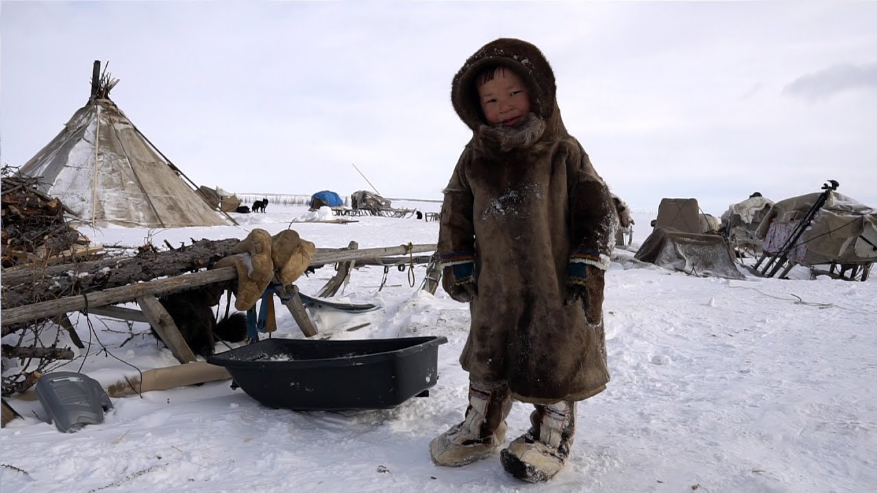 Children of TUNDRA. Winter Everyday life of nomads. North of Russia. Nenets