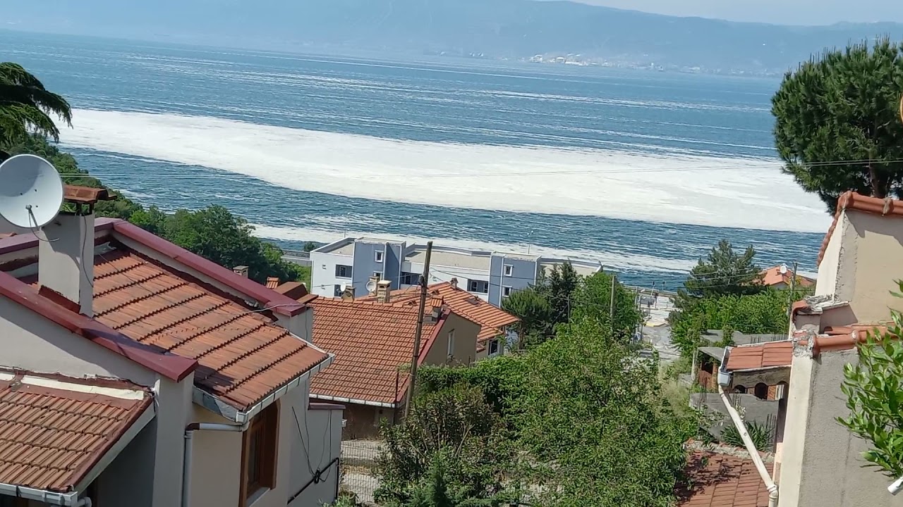 Marmara'yı etkisi altına alan deniz salyası (Müsilaj)