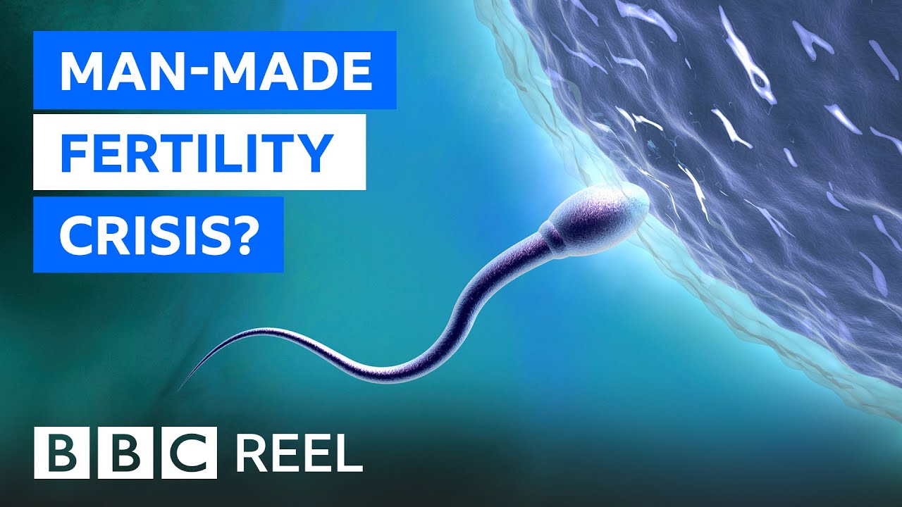 ınfertility