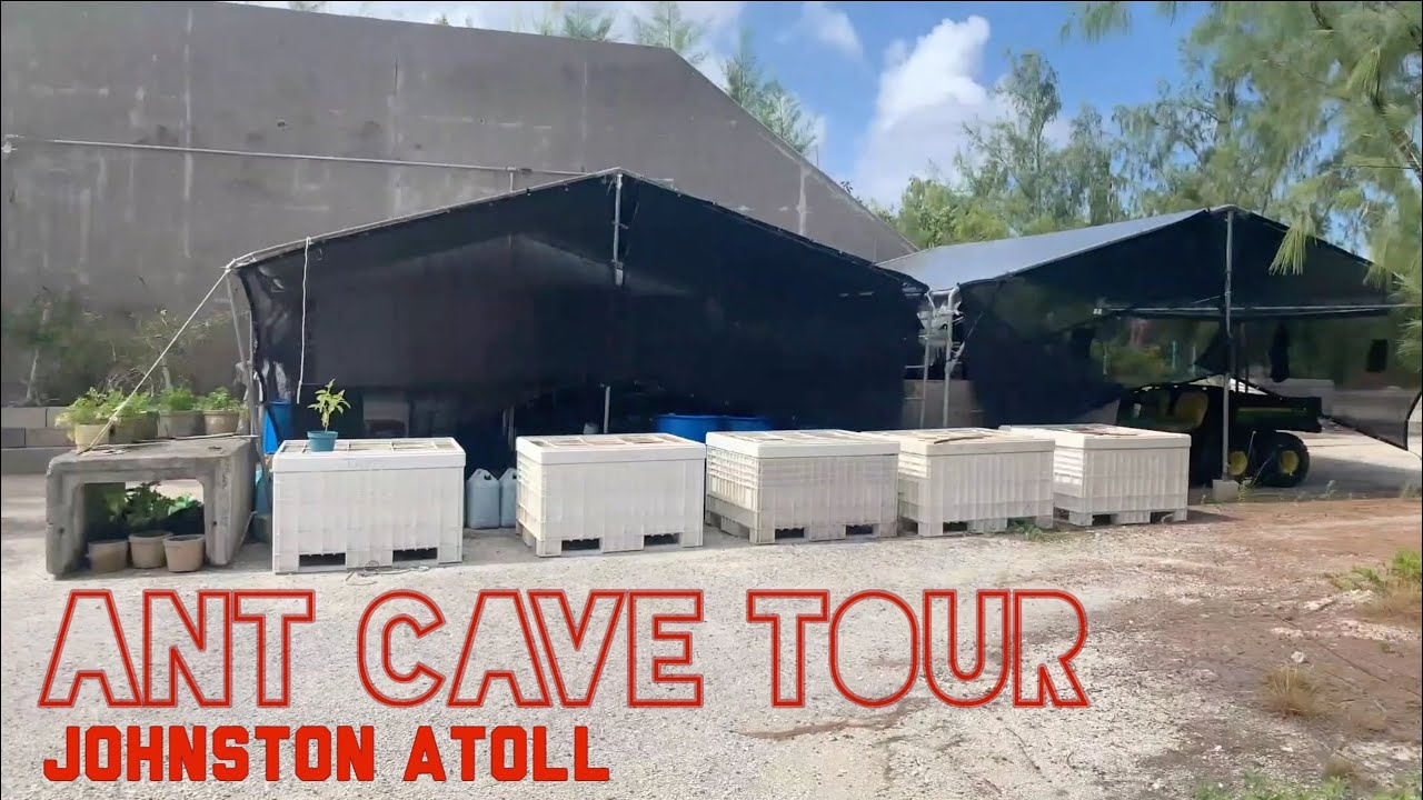 TOUR OF THE ANT CAVE ON JOHNSTON ATOLL (CAST XVIII)