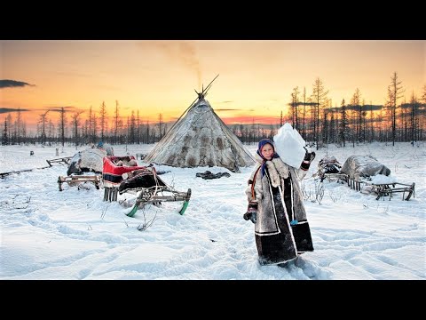 doing home chores in Arctic Cold. Life of women reindeer herders in tundra