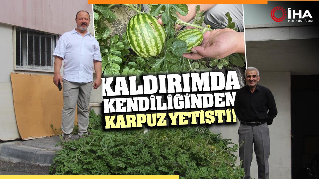 öldü