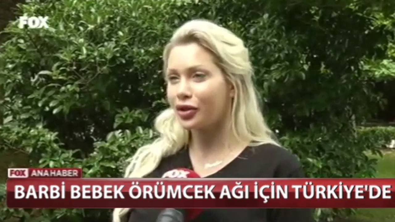 Pixee Fox   Örümcek Ağı Estetiği  Fox TV